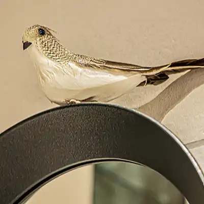 Petit oiseau sur le haut du miroir.