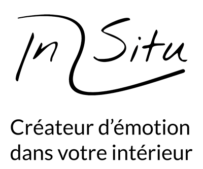 Logo In Situ - créateur de votre intérieur
