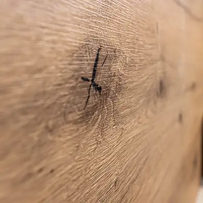 Crédence avec un effet bois ressemblant au parquet